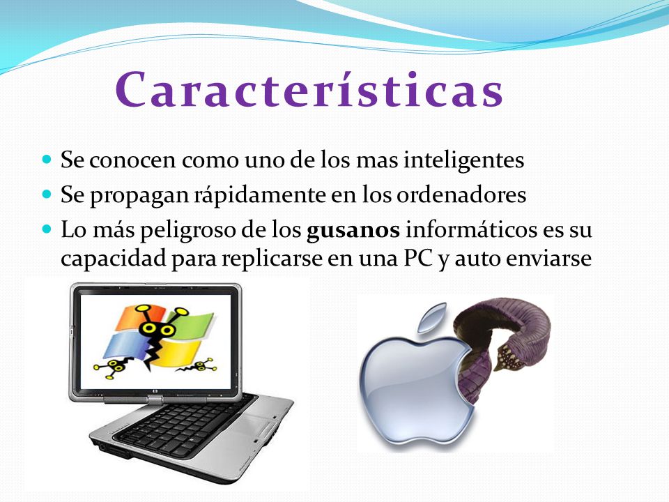 5 caracteristicas del virus informatico